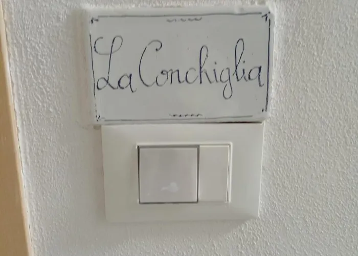 La Conchiglia Di Monterosso Tatil Evi